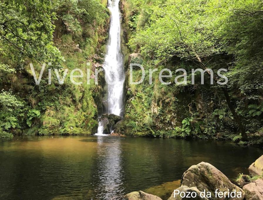 Viveiro Dreams Villa Luaran gambar